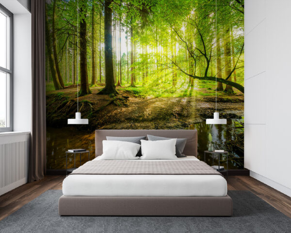 Fotobehang Bos met bomen en zon die door de bomen schijnt (Artikelnummer: u93621) Fotobehang Fotobehang Bos met bomen en zon die door de bomen schijnt (Artikelnummer: u93621)