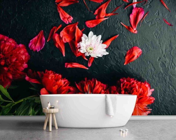 Groep rode bloemen met bloemblaadjes op een zwart vlak Fotobehang Groep rode bloemen met bloemblaadjes op een zwart vlak