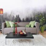 Fotobehang Bos van bomen met mist