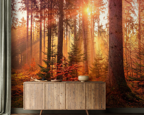 Fotobehang Zonlicht filtert door sereen bos (Artikelnummer: u62639) Fotobehang Fotobehang Zonlicht filtert door sereen bos (Artikelnummer: u62639)