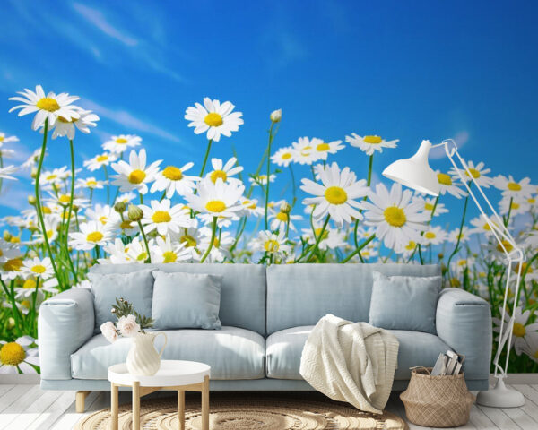 Veld met witte en gele bloemen Fotobehang Veld met witte en gele bloemen