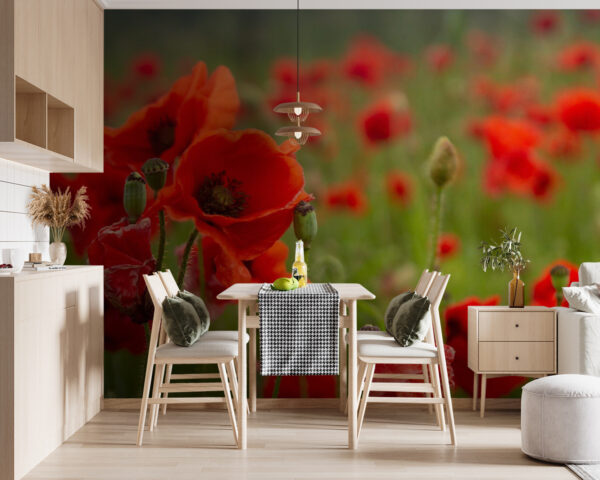 Veld met rode bloemen Fotobehang Veld met rode bloemen