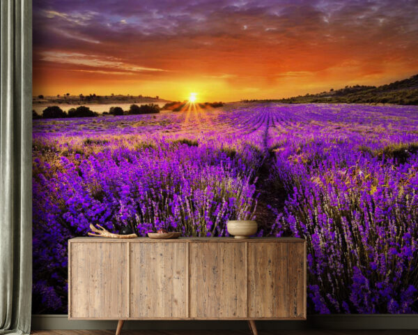 Heldere zon aan de hemel Fotobehang Heldere zon aan de hemel