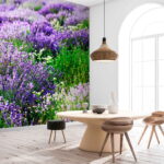 Fotobehang Veld met paarse bloemen