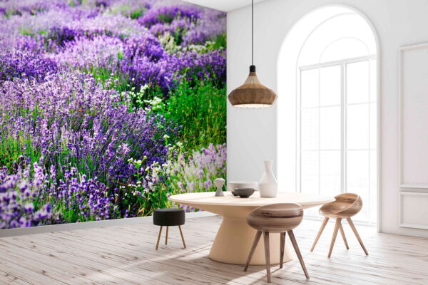 Veld met paarse bloemen Fotobehang Veld met paarse bloemen