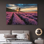 Fotobehang Boom waar de zon doorheen schijnt