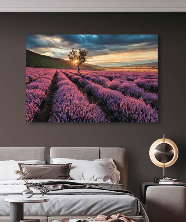Boom waar de zon doorheen schijnt Fotobehang Boom waar de zon doorheen schijnt