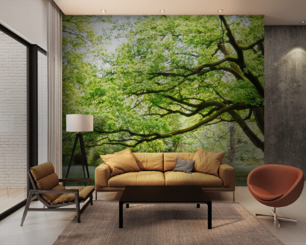 Boom met groene bladeren Fotobehang Boom met groene bladeren