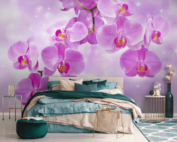 Delicate orchideeën in zachte tinten Fotobehang Delicate orchideeën in zachte tinten