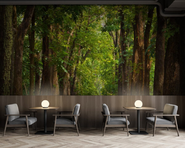 Pad met bomen aan de zijkant Fotobehang Pad met bomen aan de zijkant