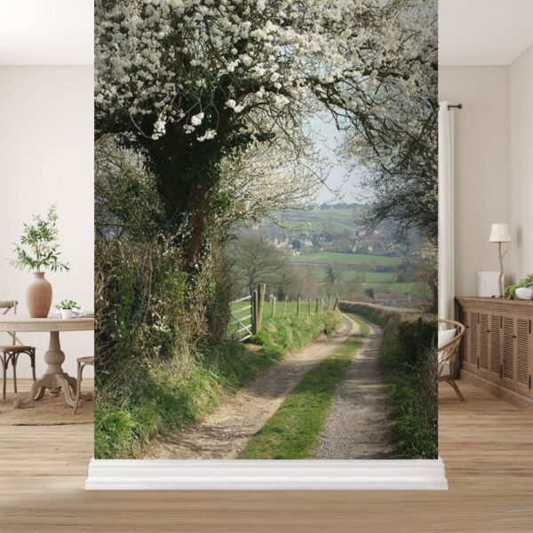 Witte bloem op een tak Fotobehang Witte bloem op een tak