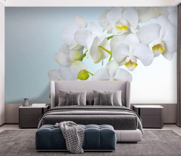 Fotobehang Witte orchideeën boven water