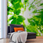 Fotobehang Zonlicht dat door groene bladeren schijnt