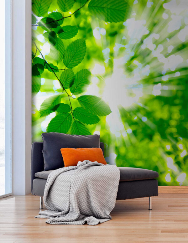 Fotobehang Zonlicht dat door groene bladeren schijnt (Artikelnummer: u54862) Fotobehang Fotobehang Zonlicht dat door groene bladeren schijnt (Artikelnummer: u54862)