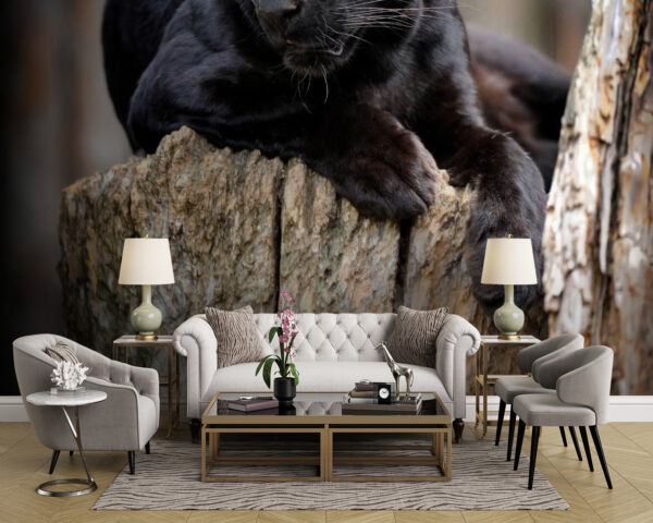 Fotobehang Zwarte panter liggend op een boomstronk (Artikelnummer: u54741) Fotobehang Fotobehang Zwarte panter liggend op een boomstronk (Artikelnummer: u54741)