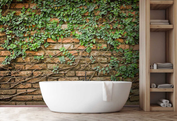 Bakstenen muur bedekt met groene wijnranken Fotobehang Bakstenen muur bedekt met groene wijnranken