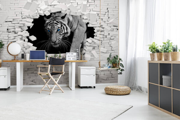 Witte tijger met blauwe ogen Fotobehang Witte tijger met blauwe ogen