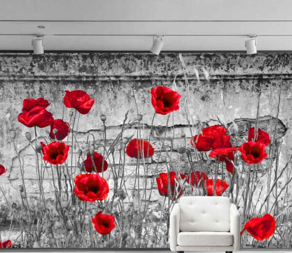 Rode klaprozen tegen een muur met structuur Fotobehang Rode klaprozen tegen een muur met structuur