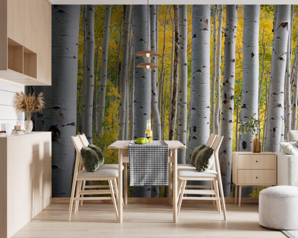 Groep witte bomen met gele bladeren Fotobehang Groep witte bomen met gele bladeren