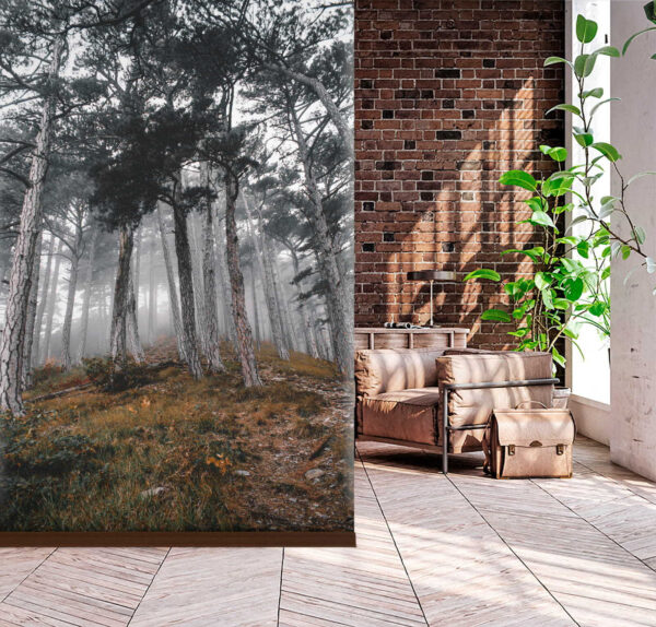 Bos met bomen in de mist Fotobehang Bos met bomen in de mist