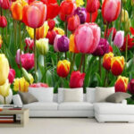 Fotobehang Groep kleurrijke tulpen