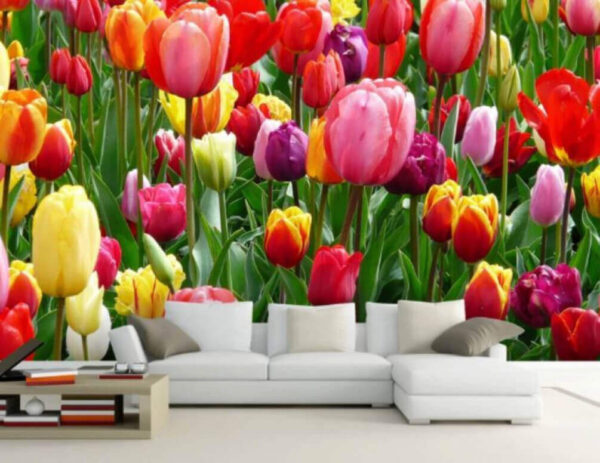 Groep kleurrijke tulpen Fotobehang Groep kleurrijke tulpen