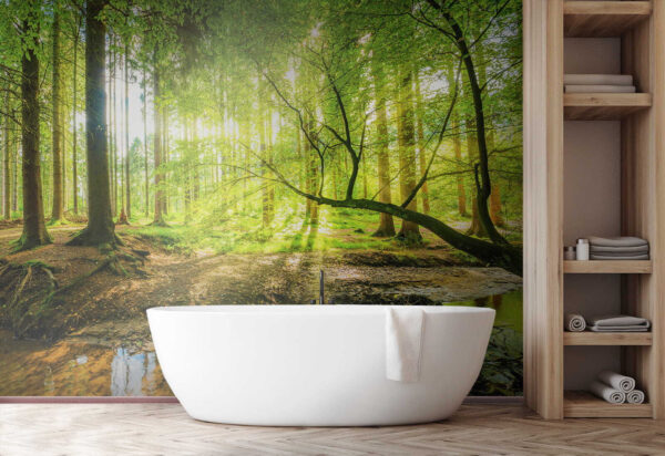 Fotobehang Zonovergoten bos met glinsterend beekje (Artikelnummer: u52615) Fotobehang Fotobehang Zonovergoten bos met glinsterend beekje (Artikelnummer: u52615)
