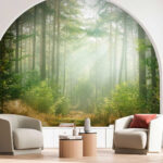 Fotobehang Zonlicht dat door bosbomen schijnt.