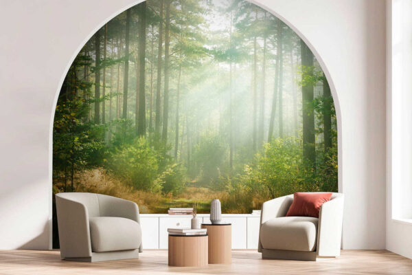 Fotobehang Zonlicht dat door bosbomen schijnt (Artikelnummer: u56162) Fotobehang Fotobehang Zonlicht dat door bosbomen schijnt (Artikelnummer: u56162)