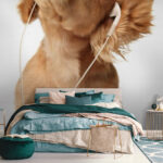 Fotobehang Hond met koptelefoon op