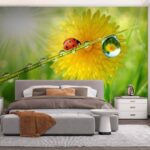 Fotobehang Lieveheersbeestje op een grasspriet