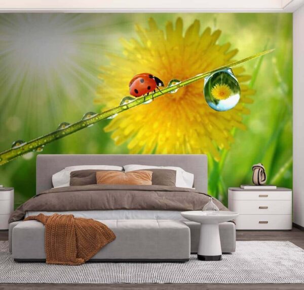 Lieveheersbeestje op een grasspriet Fotobehang Lieveheersbeestje op een grasspriet