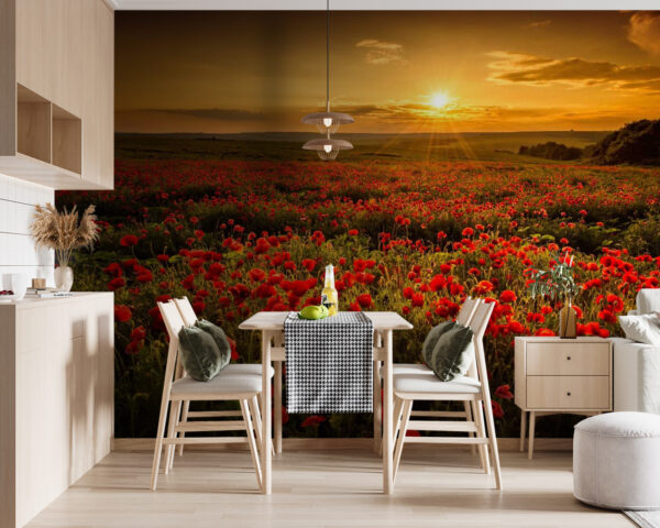 Veld met rode bloemen Fotobehang Veld met rode bloemen