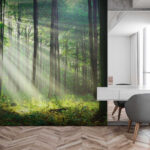 Fotobehang Zonnestralen die door het bos schijnen