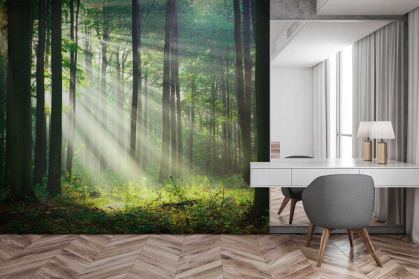 Zonnestralen die door het bos schijnen Fotobehang Zonnestralen die door het bos schijnen