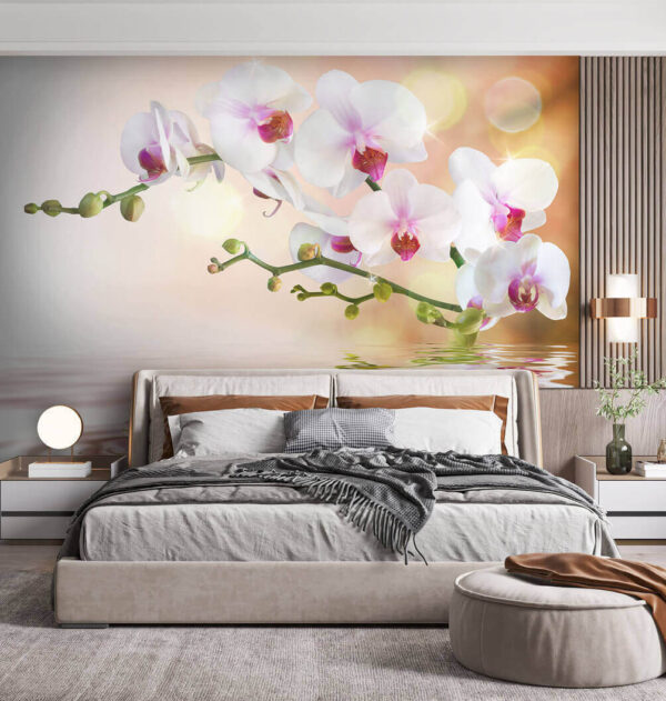 Orchideeën weerspiegelen op rustig water Fotobehang Orchideeën weerspiegelen op rustig water