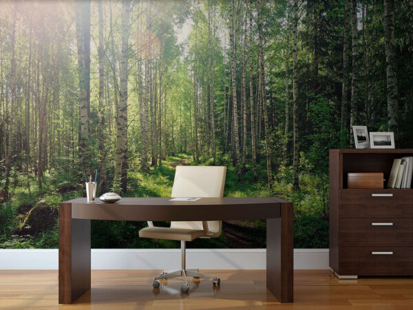Vuil pad door een bos Fotobehang Vuil pad door een bos
