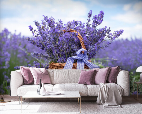 Mand met lavendel in een veld Fotobehang Mand met lavendel in een veld