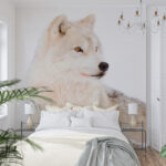 Fotobehang Witte wolf in de sneeuw