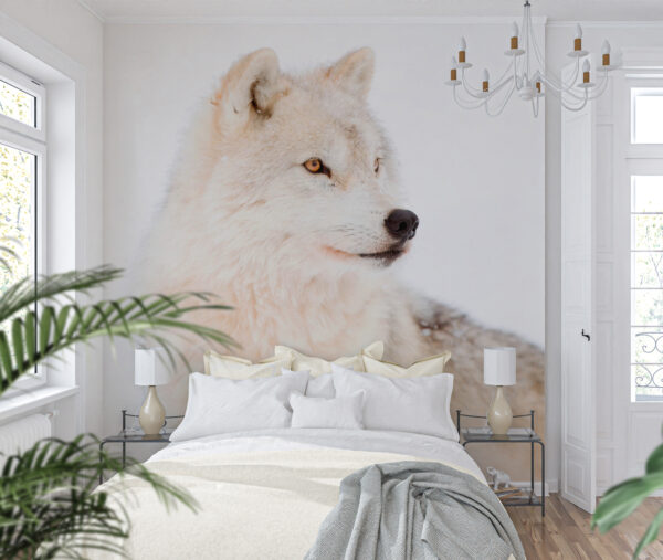 Witte wolf in de sneeuw Fotobehang Witte wolf in de sneeuw