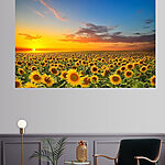 Canvas Schilderijen Zonnebloemveld