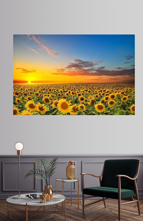 Zonnebloemveld Canvas Schilderijen Zonnebloemveld