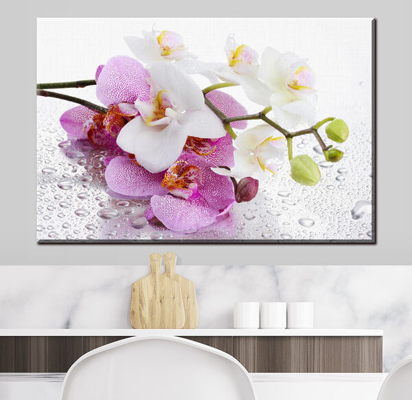 Orchideeën met waterdruppels schitteren Canvas Schilderijen Orchideeën met waterdruppels schitteren