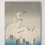 Canvas Schilderijen Groep witte vogels met lange snavels