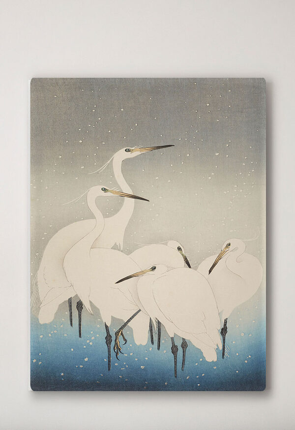 Groep witte vogels met lange snavels Canvas Schilderijen Groep witte vogels met lange snavels
