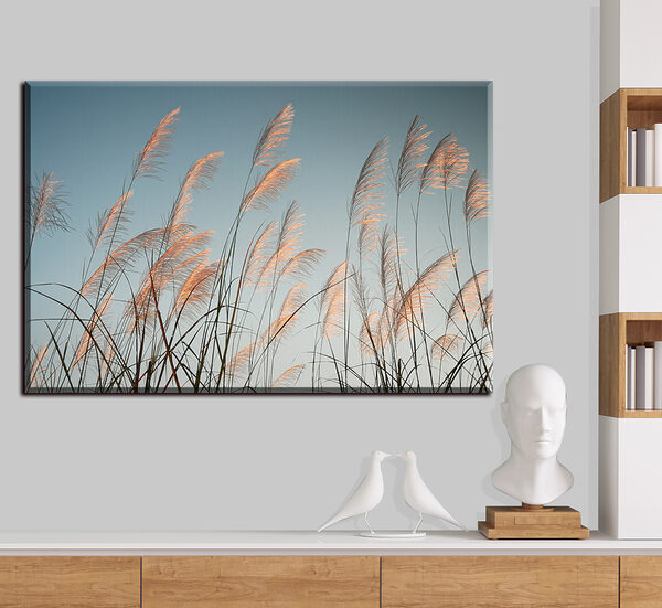 Groep hoog gras Canvas Schilderijen Groep hoog gras