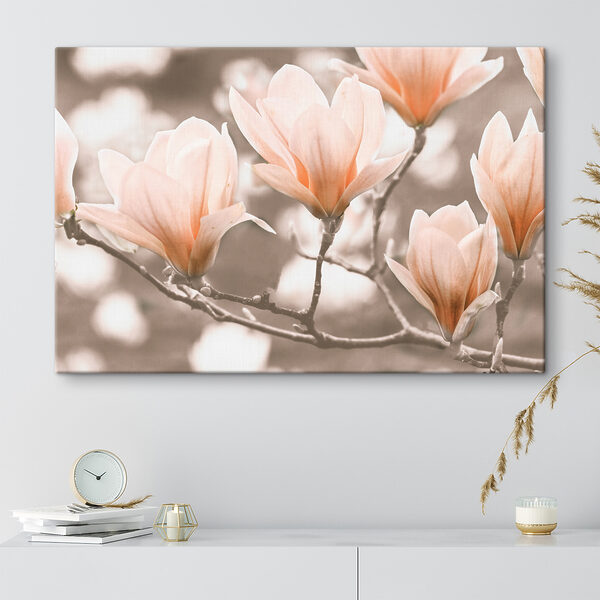 Bloeiende magnolia bloemen in de lente Canvas Schilderijen Bloeiende magnolia bloemen in de lente