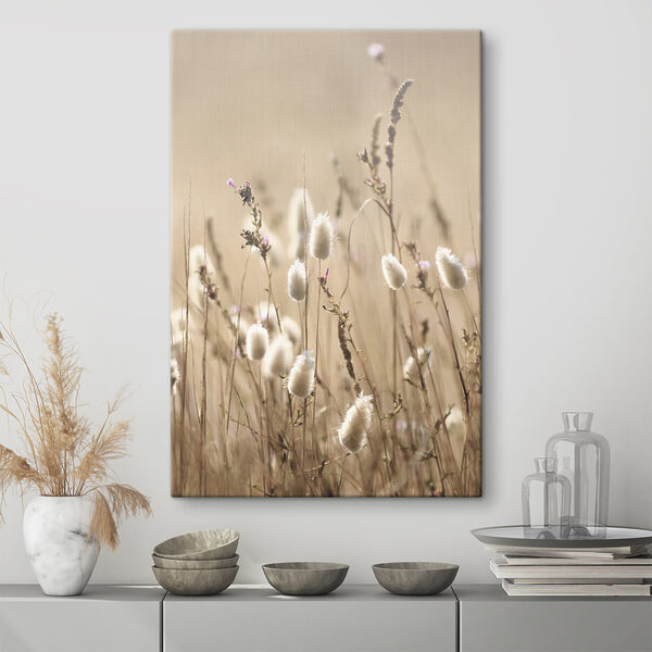 Zacht zonlicht op wilde grassen Canvas Schilderijen Zacht zonlicht op wilde grassen