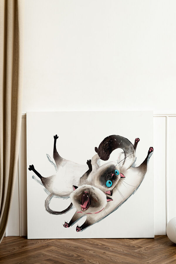 Kat liggend op zijn rug Canvas Schilderijen Kat liggend op zijn rug