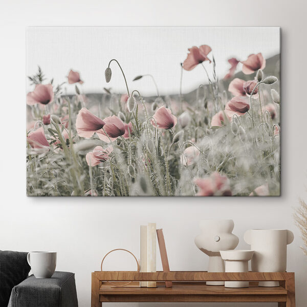 Veld met delicate roze klaprozen Canvas Schilderijen Veld met delicate roze klaprozen